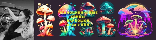 гашишное масло Богородицк