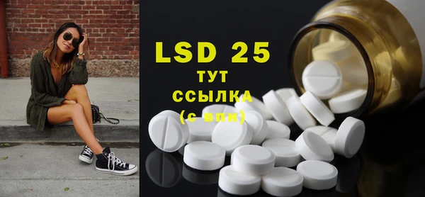 спайс Богданович