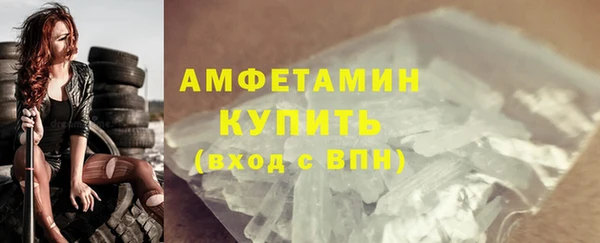 спайс Богданович