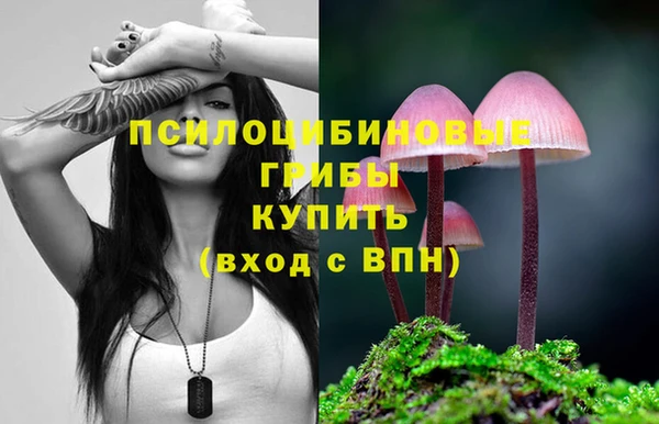 дмт Белокуриха