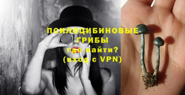спайс Богданович