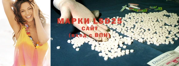 спайс Богданович