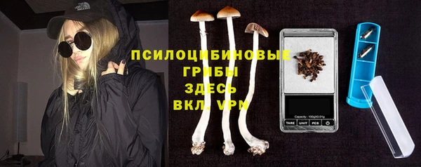 дмт Белокуриха